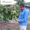 user7806793823741