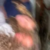 laudomia.pasta2