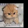 zeynebou.salek