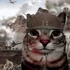 tactical.cat