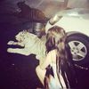 sophia_14better