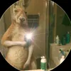 thaiel.com2