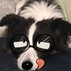sadboyzlifell