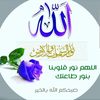 abd.hegazy0
