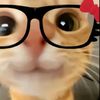 chillmeoww._