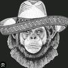 dtx_arg
