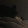 anthony.perez996