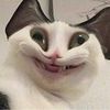hahaaha_5555