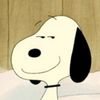 snoopy_toopy