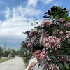 nguyn.hong7360