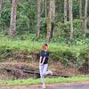 adevaa_bellvania