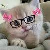 lolipop_manis11