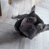 bellasboy8