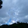 kendellpaau_502