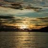 xen_2782