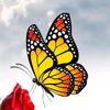 driti.love_2025