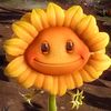 daun23275