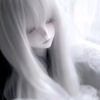 k8dir8v