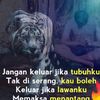 driver_rhindras