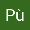 p.l5936
