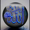 abshir.cade737