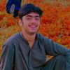 rylpathan75