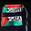 ghassn24