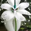 ameera.talucod