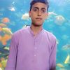 abdul.qader547