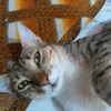 jafar._777