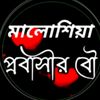 mdsabithasan77