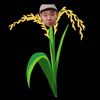 kao_oat1998