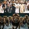 mujahidulislam1233