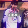 leoxaep10