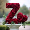 zubair.khan6567