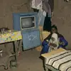 mamol008