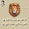 user8717225008561