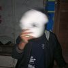 matzzzx20