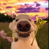 gentelmen_kajtuss