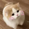 thu.vi.2k