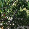mazlum6565650