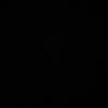 l1251339