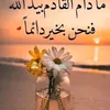 user688203334
