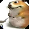 chomik_chillerka