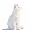 mira55511.sub.account
