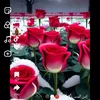 user7872808179078