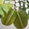 tnkhng4477