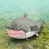 namazu31