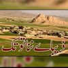 noor.ahmed5782