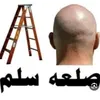 user51175552175912